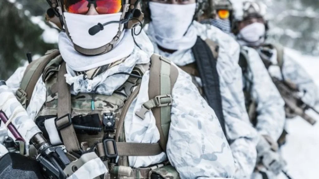 Військові у зимовому камуфляжі під час операції