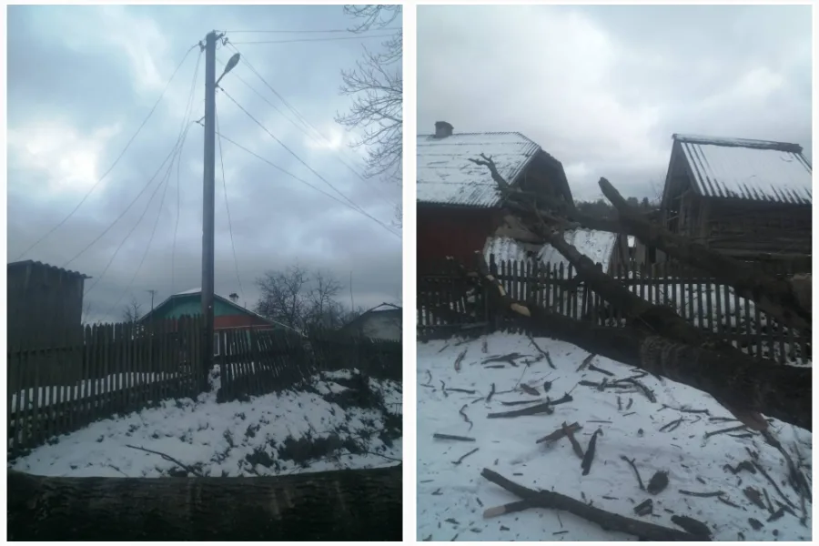 Зламане дерево біля сільських будинків узимку