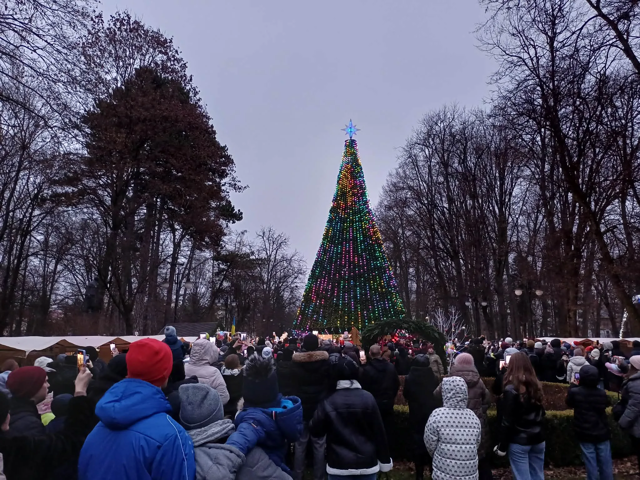 Новорічна ялинка з вогнями у міському парку