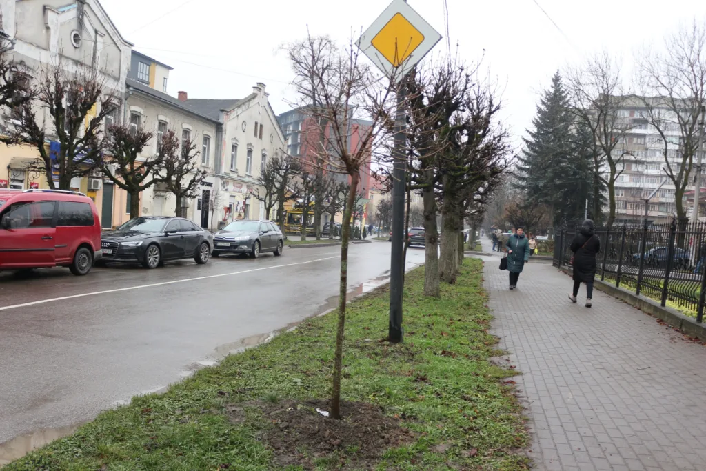 Міська вулиця з тротуаром і автомобілями вздовж дороги