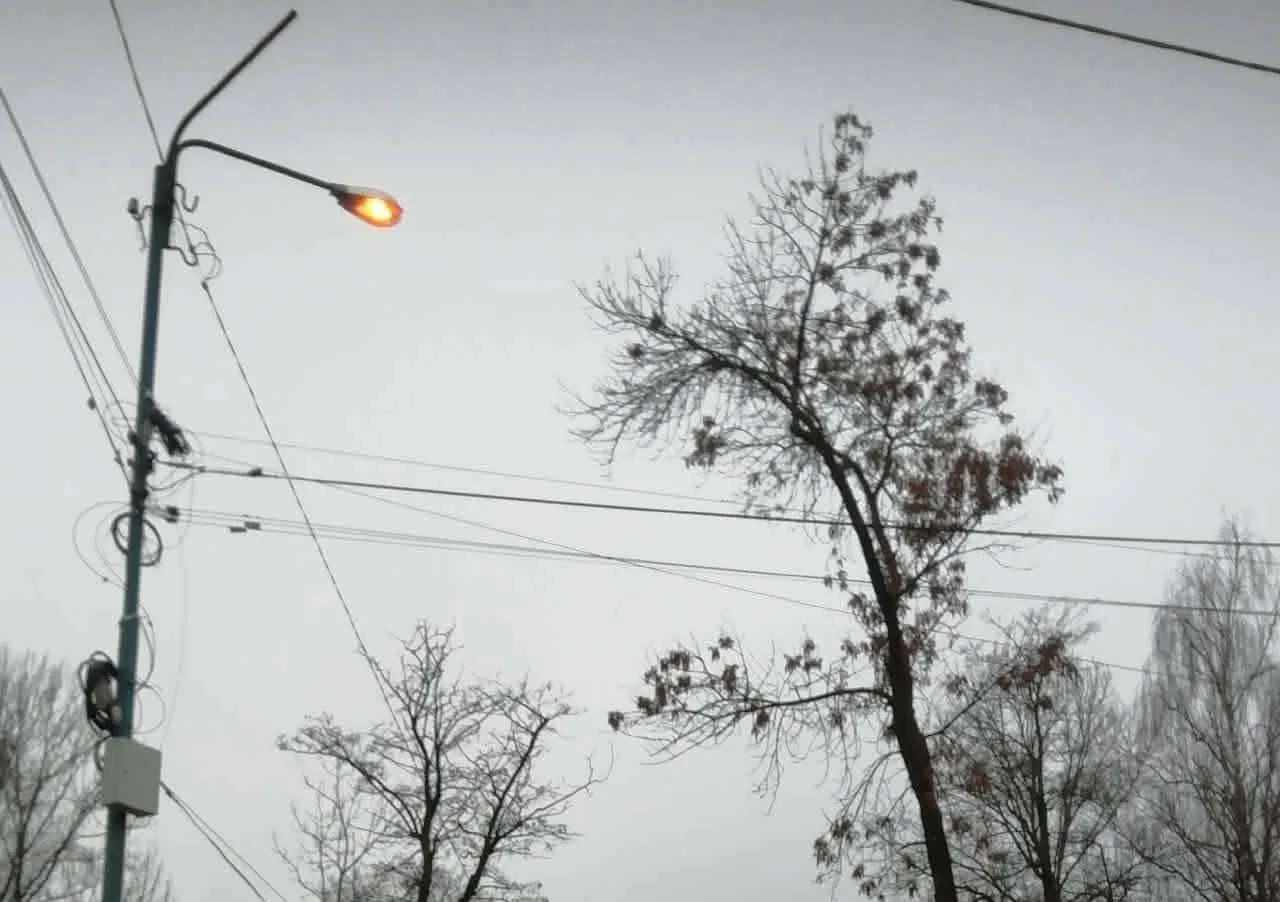 Вуличний ліхтар і дерева взимку під дротами