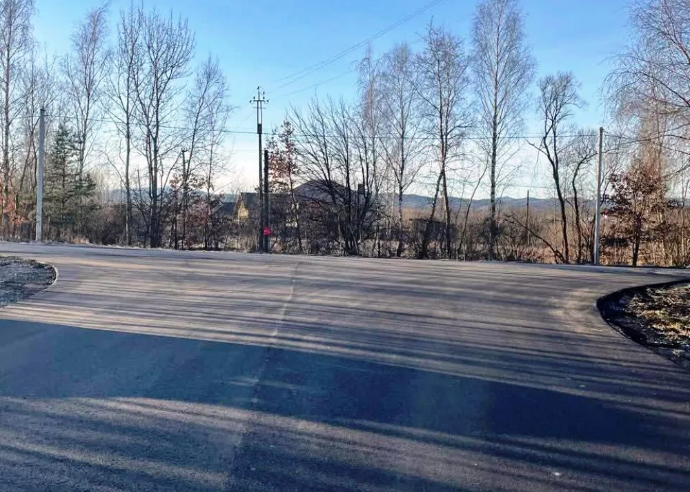 Асфальтована дорога біля лісу взимку