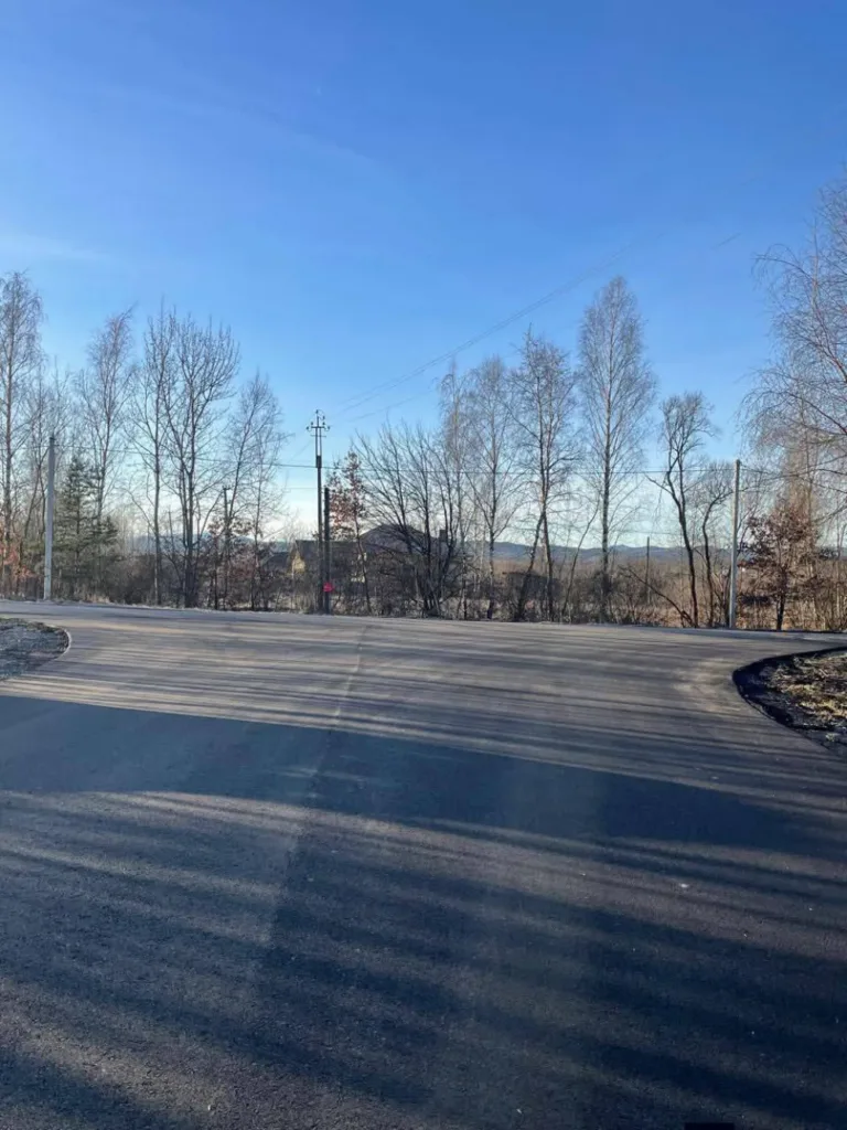 Асфальтована дорога біля дерев узимку