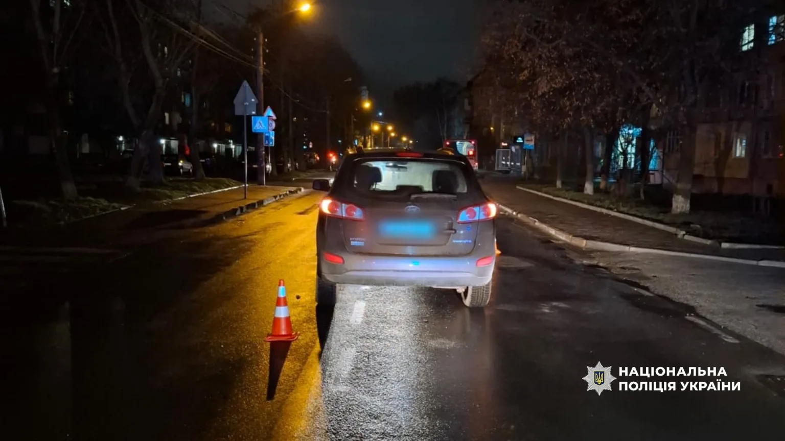 Поліційне авто на нічній вулиці України