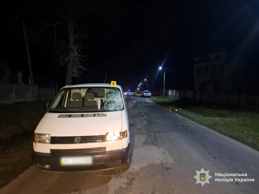 ДТП з білим мікроавтобусом на нічній дорозі