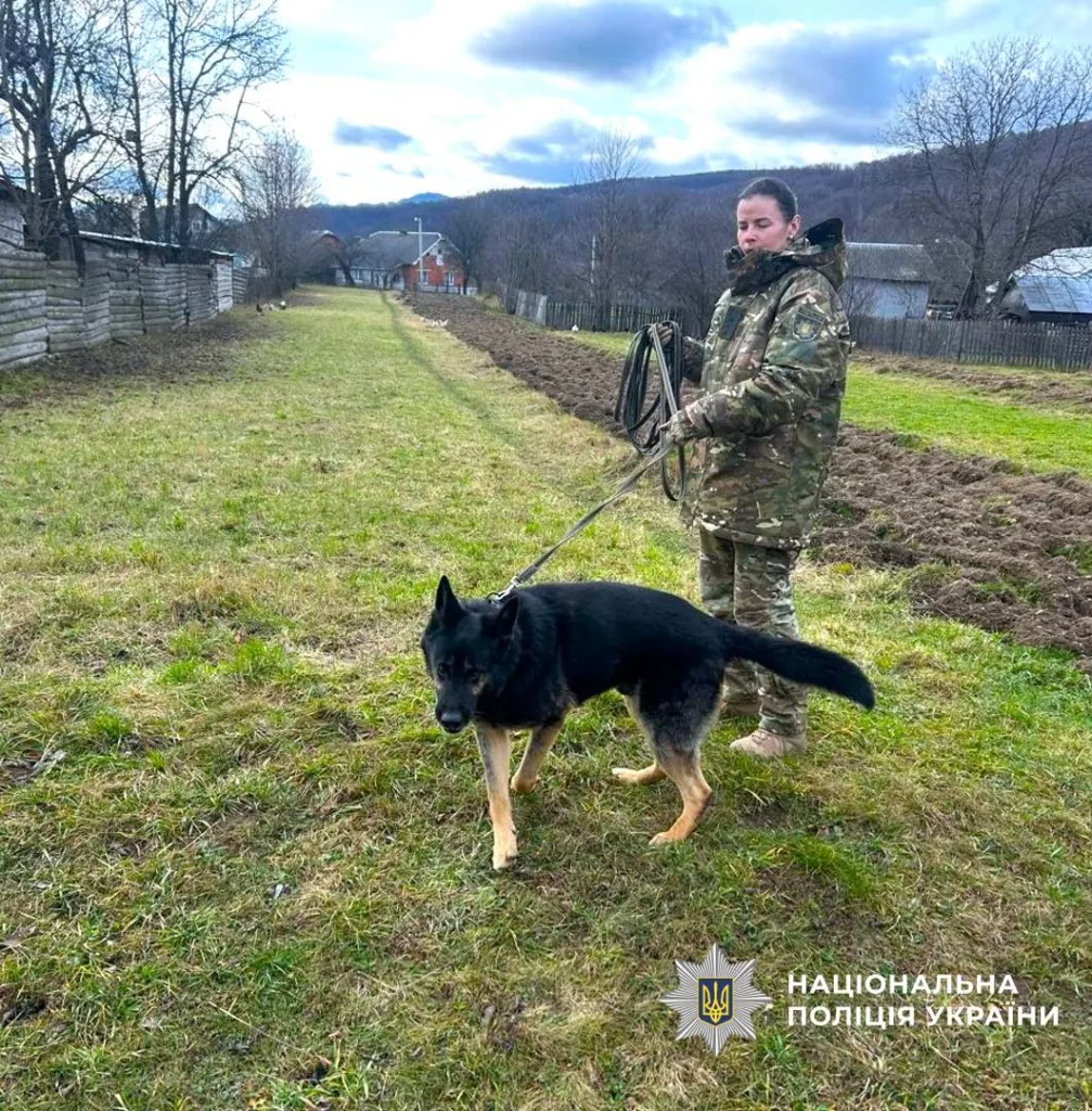 Поліцейська з службовим собакою на прогулянці