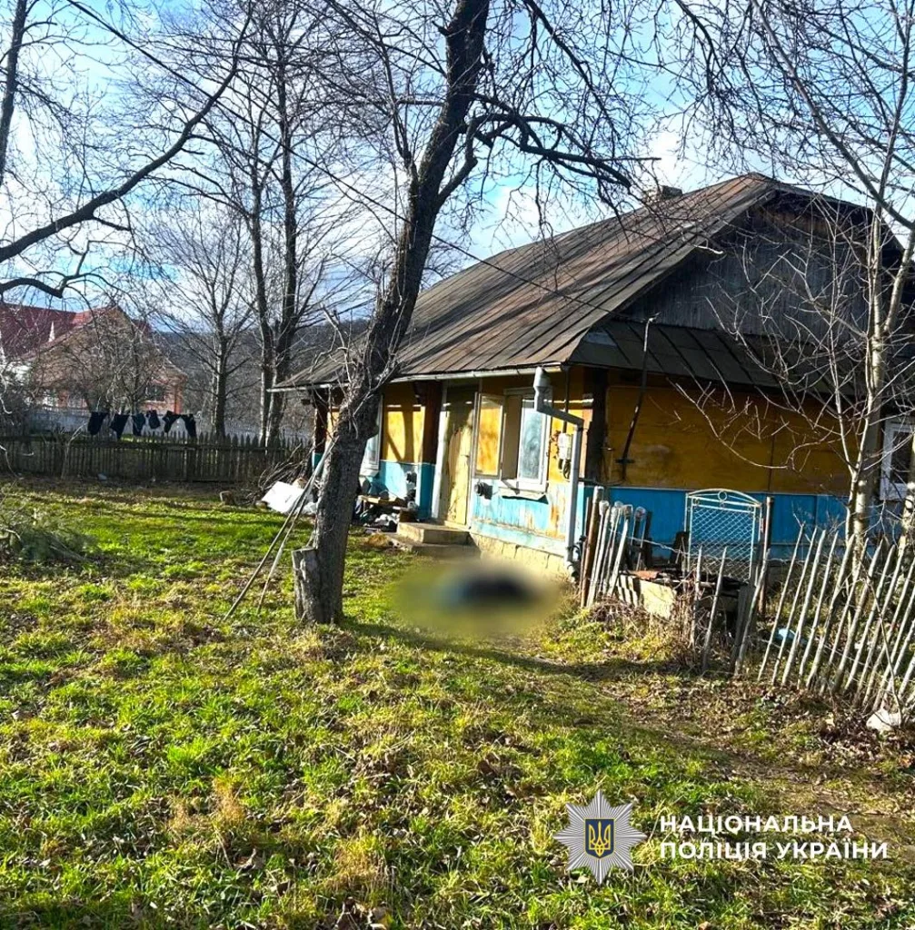 Двір старого будинку взимку в сільській місцевості