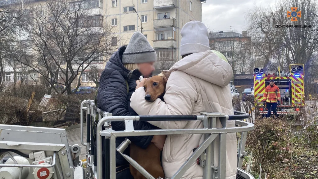 Рятувальники евакуюють людей із собакою на підйомнику