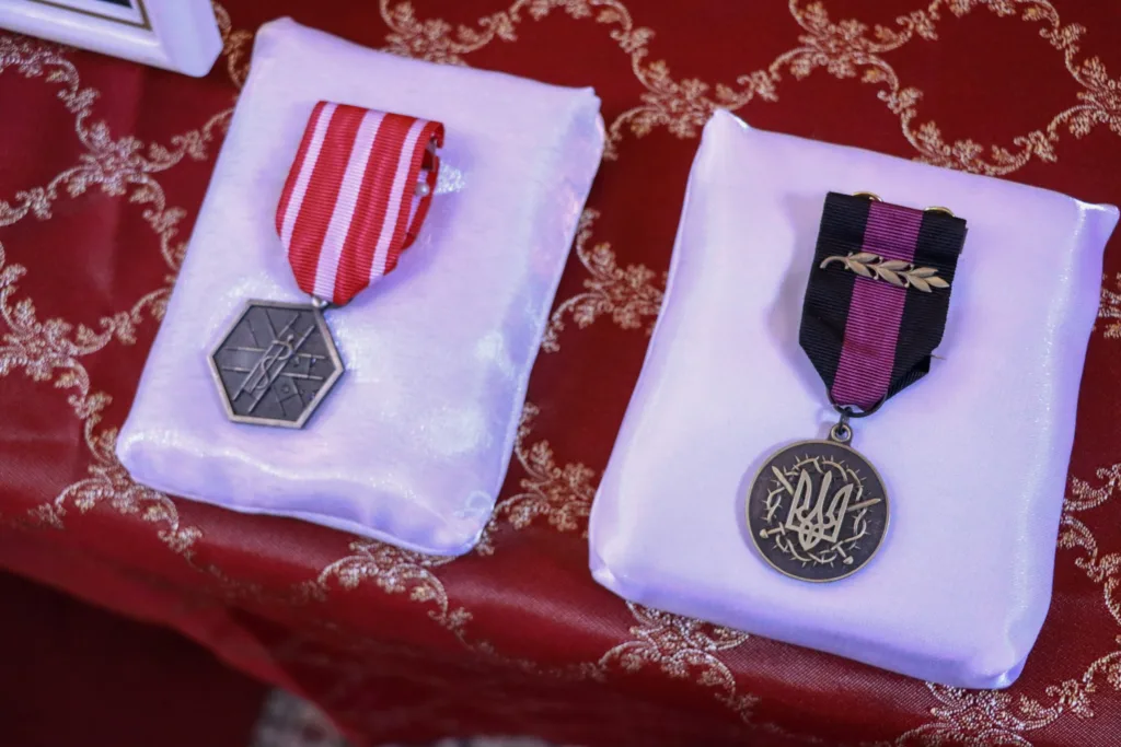 Дві українські військові медалі на подушках