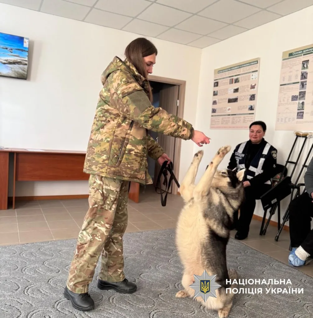 Поліцейська навчає собаку у службовому приміщенні