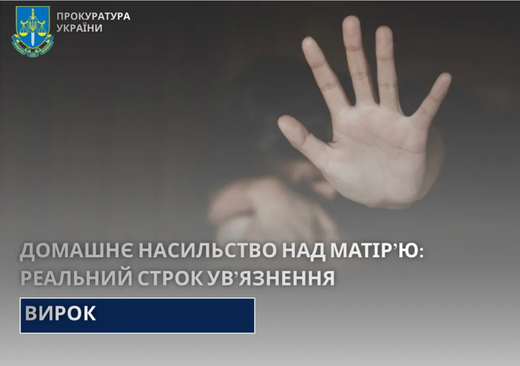 Вирок за домашнє насильство над матір’ю