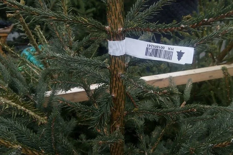 Ялинка з биркою та штрихкодом на стовбурі