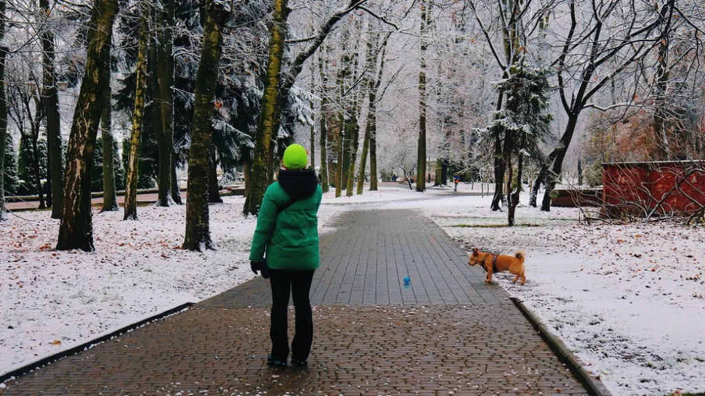 Людина гуляє з собакою у зимовому парку