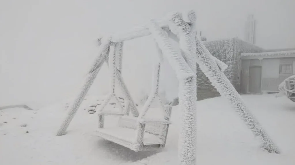 Качелі, вкриті снігом у зимовому пейзажі