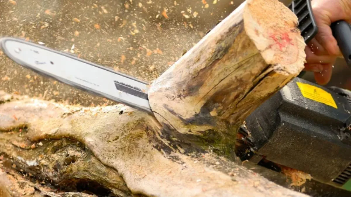 Розпилювання дерева бензопилою