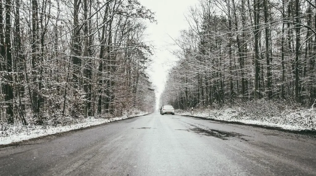Автомобіль на зимовій лісовій дорозі