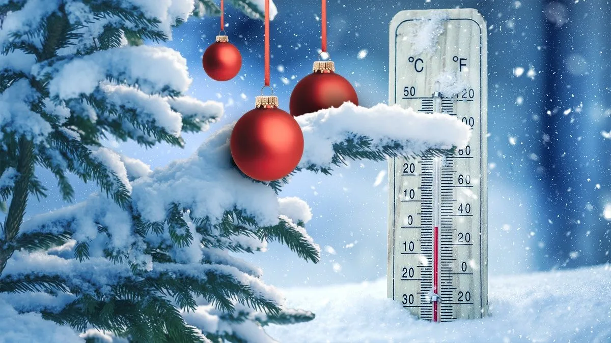 Зимовий пейзаж із ялинкою та термометром