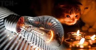 Кіт спостерігає за лампочкою та свічками