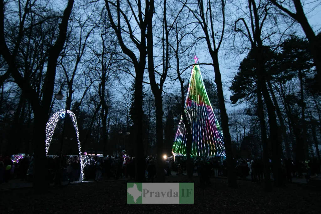 Новорічна ялинка з ілюмінацією у міському парку