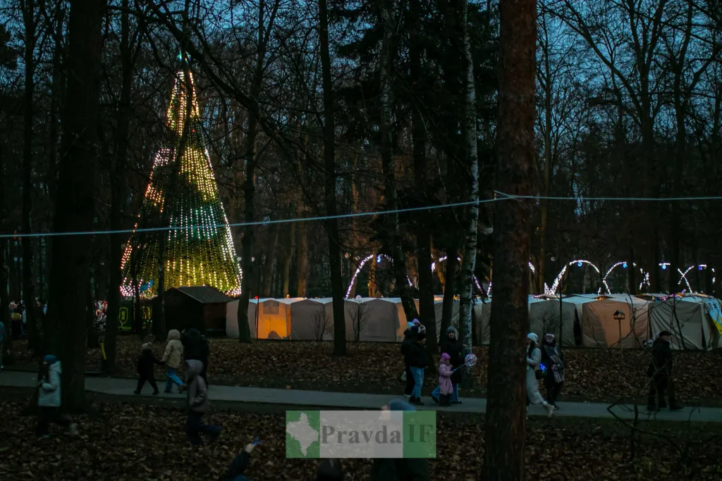 Новорічна ялинка з вогниками у парку ввечері