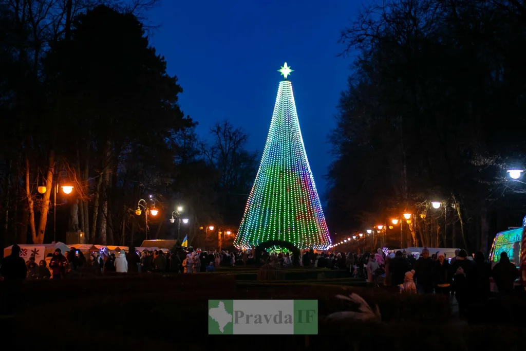 Новорічна ялинка з вогнями у вечірньому парку