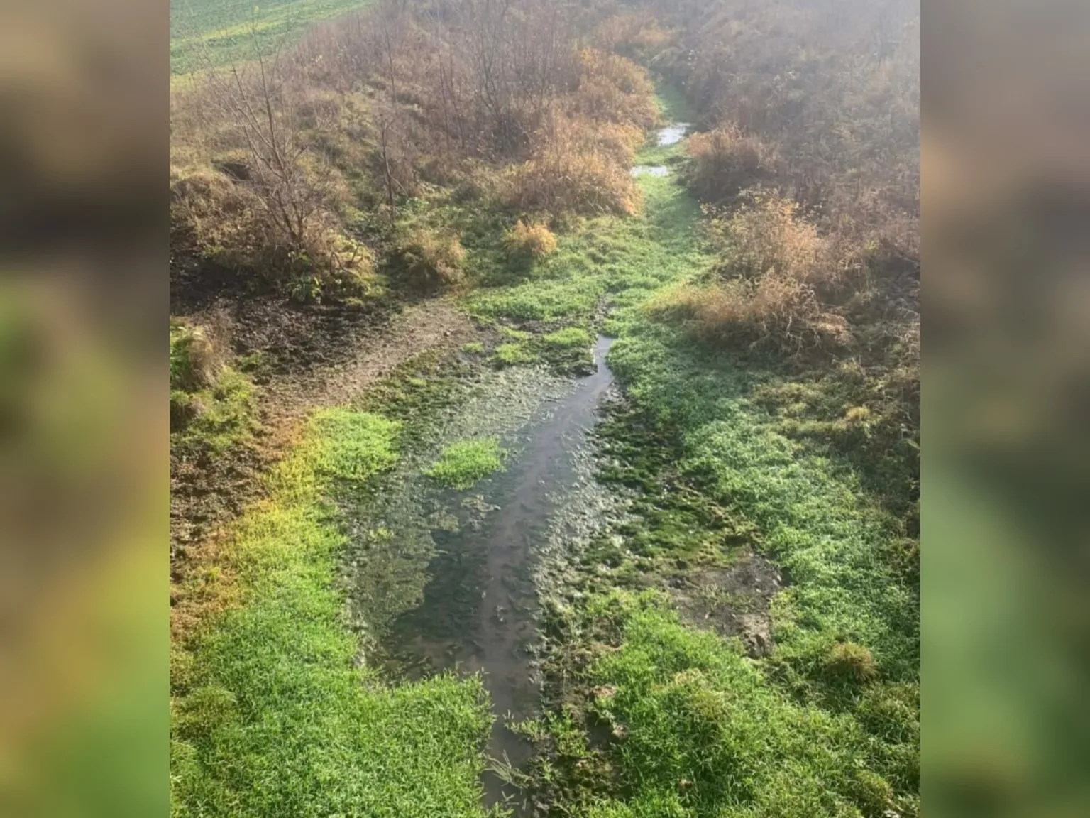 Невеликий струмок серед зеленої трави