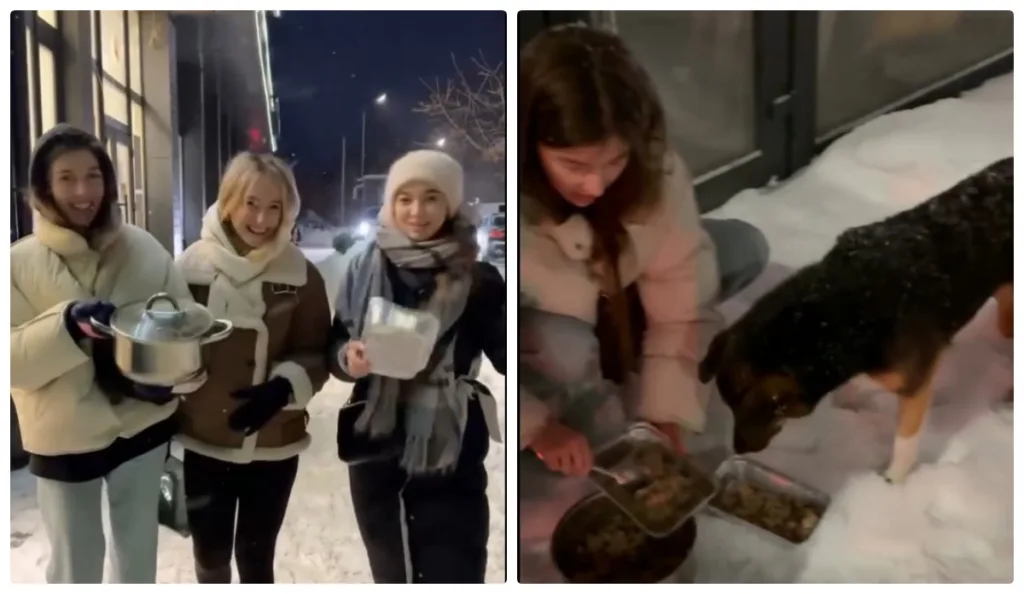 Дівчата годують безпритульного пса взимку на вулиці
