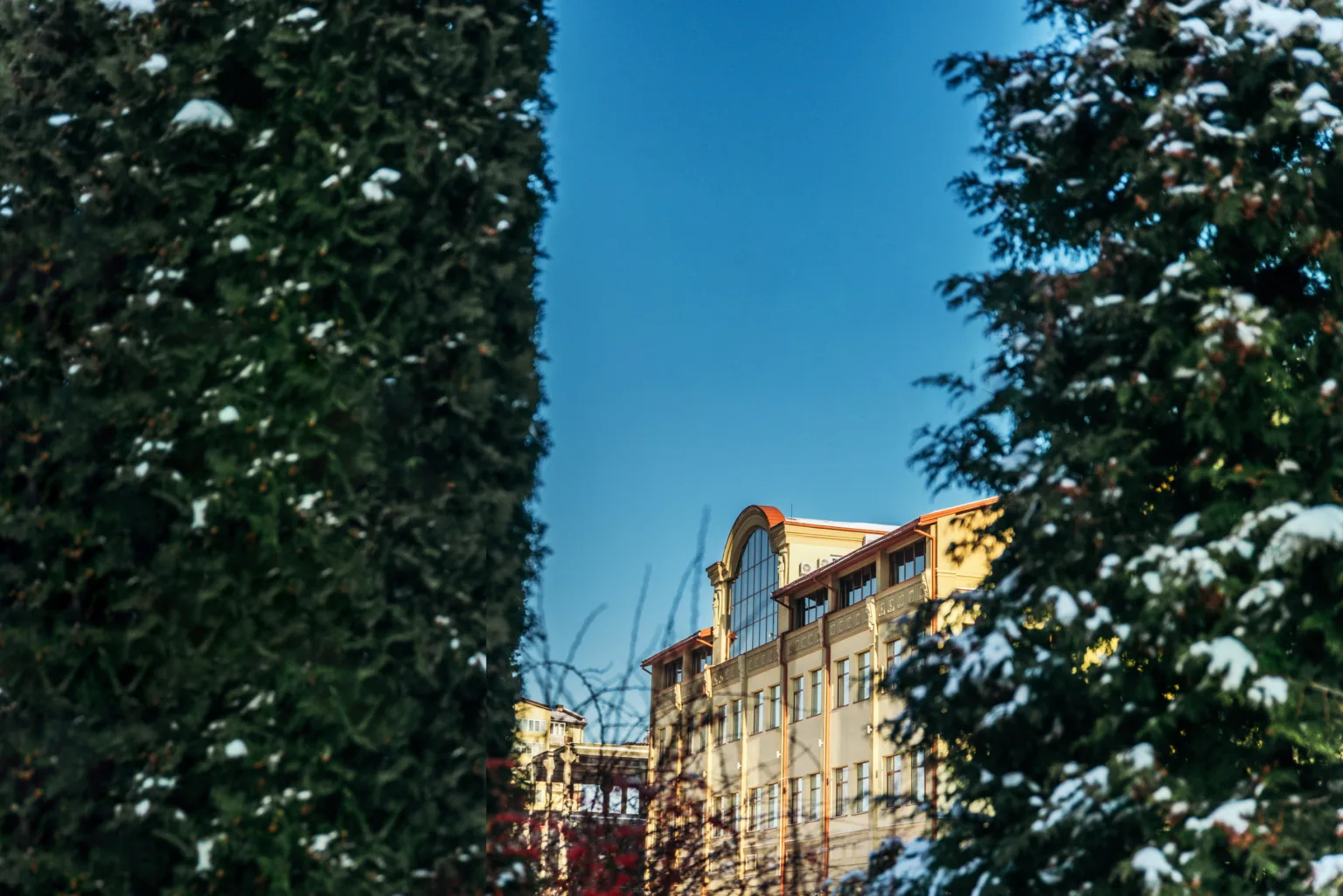 Жовта будівля між засніженими ялинами взимку