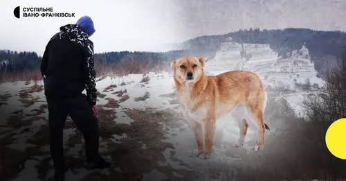 Чоловік і собака в засніжених Карпатах