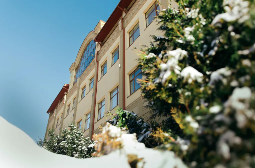 Зимова будівля з вікнами та засніженими кущами