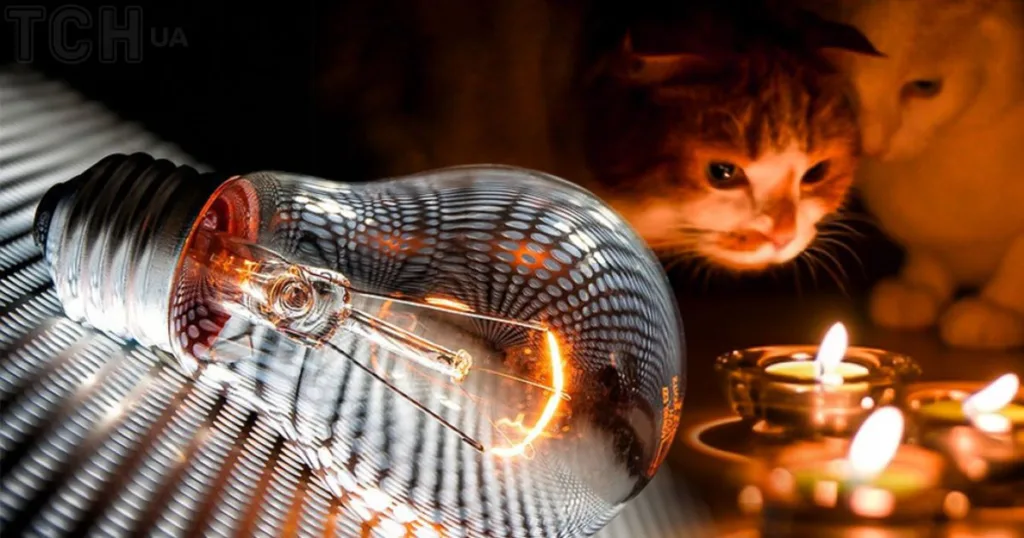 Коти біля свічок та електрична лампочка