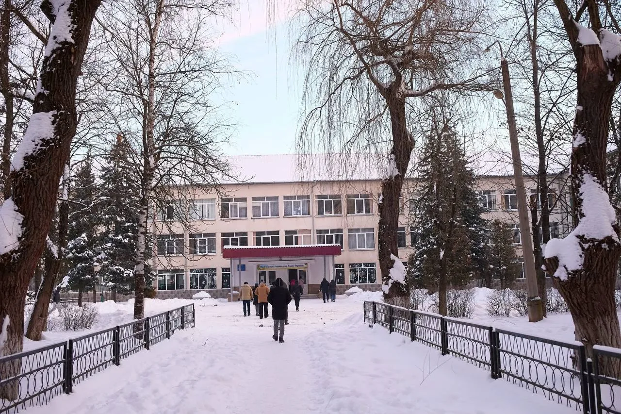 Зимовий день біля шкільної будівлі