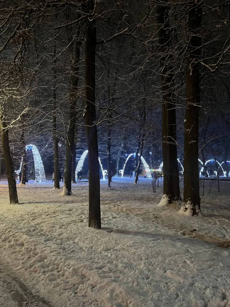 Засніжений парк з ялинковими світловими арками вночі