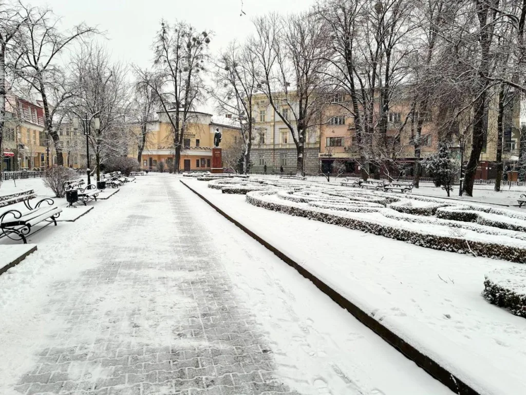 Засніжений міський парк із лавками та деревами