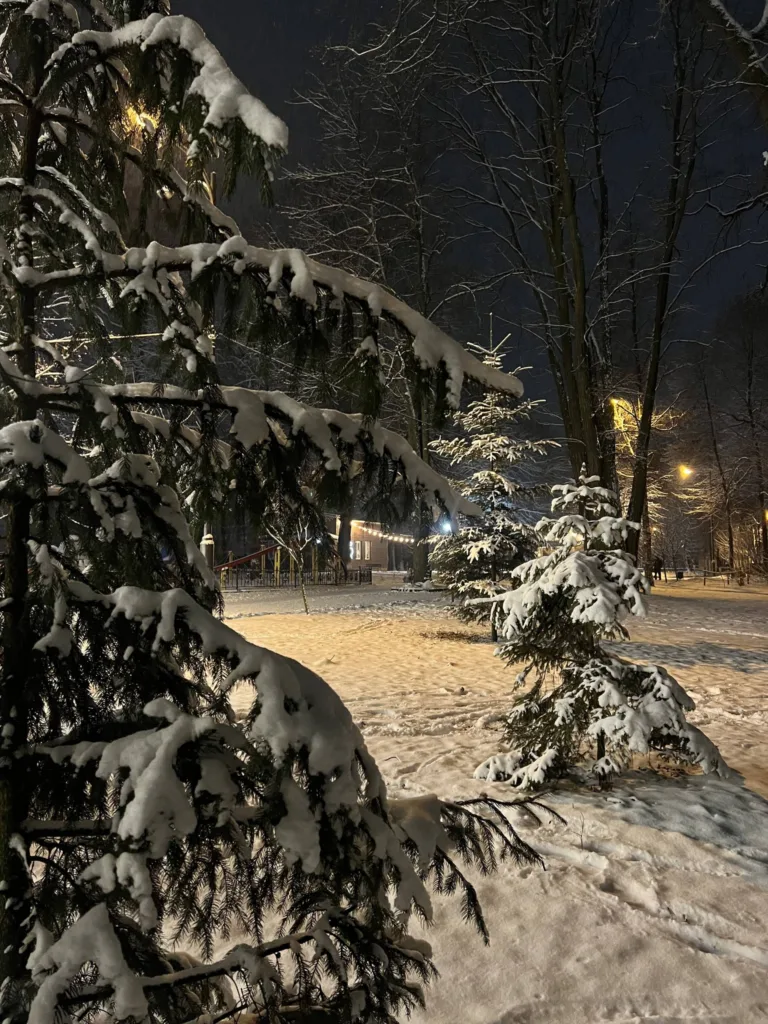 Засніжений парк уночі з ялинками та ліхтарями