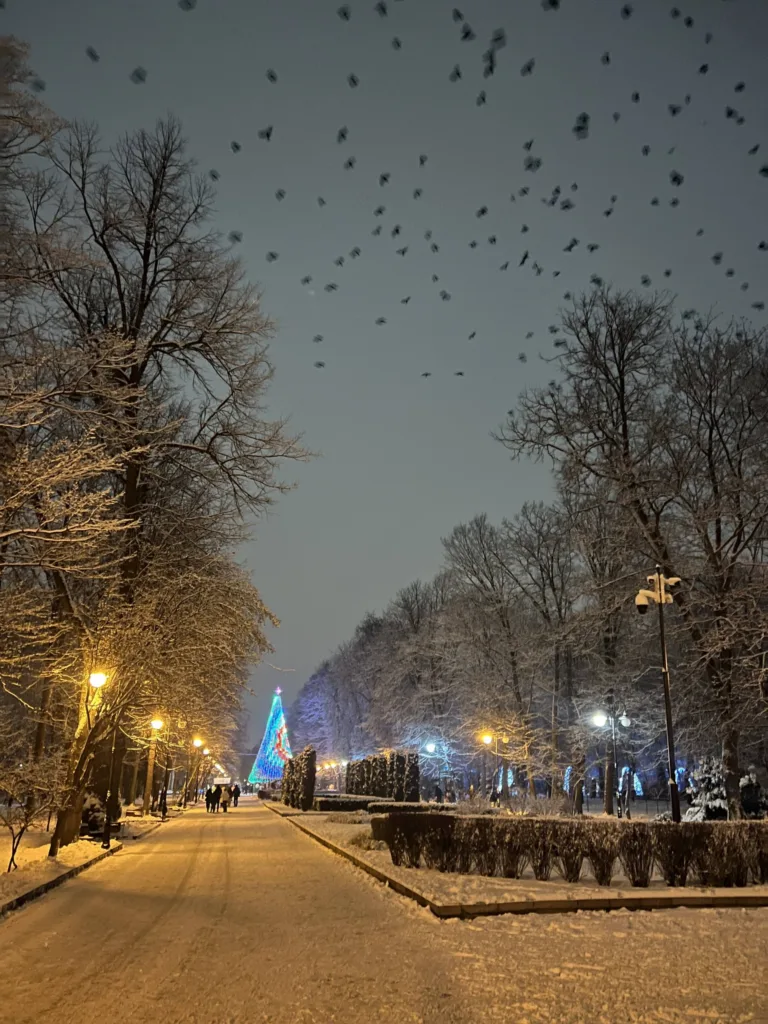 Зимовий парк із новорічною ялинкою ввечері
