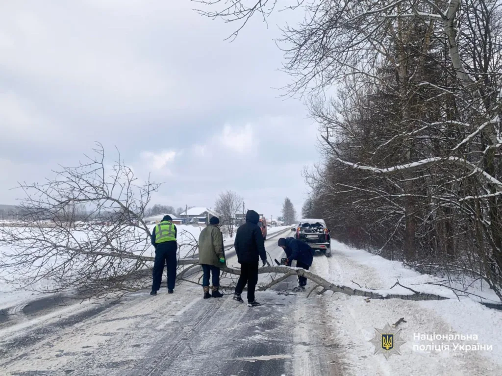 Поліція прибирає повалене дерево з зимової дороги