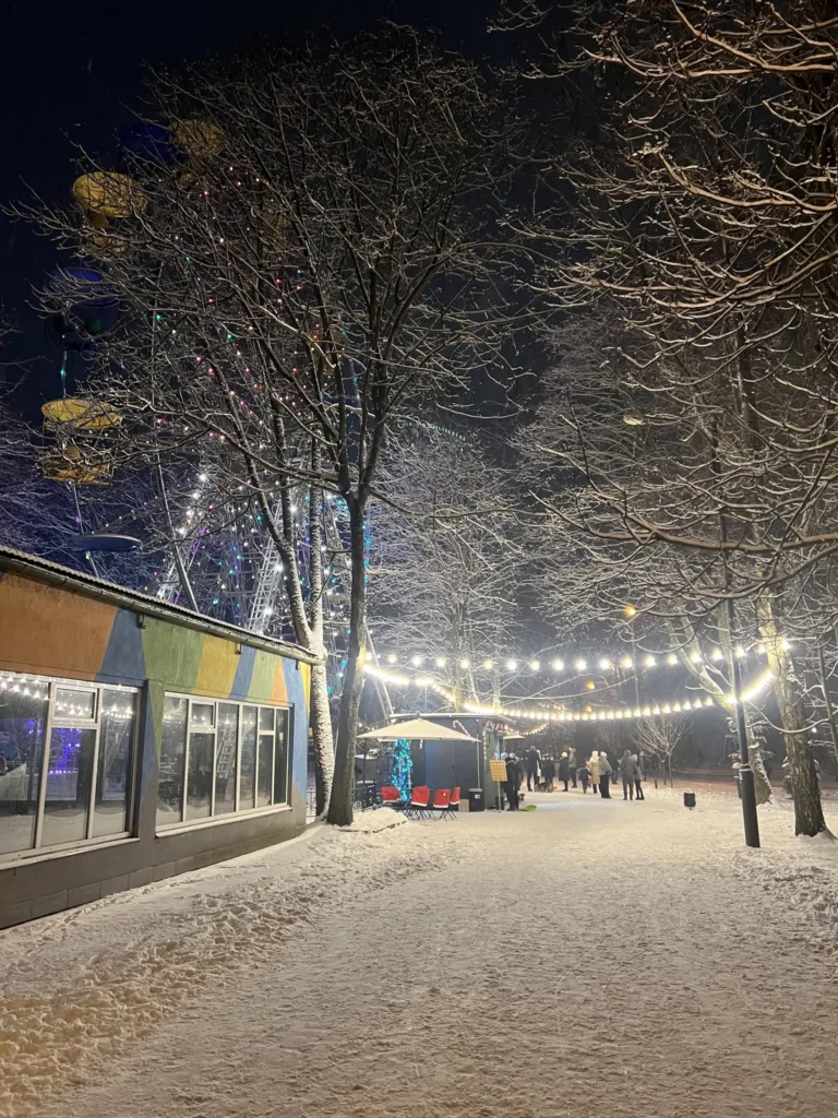 Зимовий парк із вогнями та оглядовим колесом