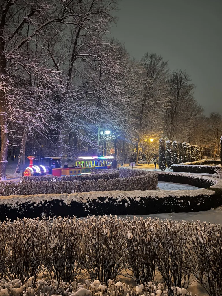Нічний парк із казковим поїздом серед снігу