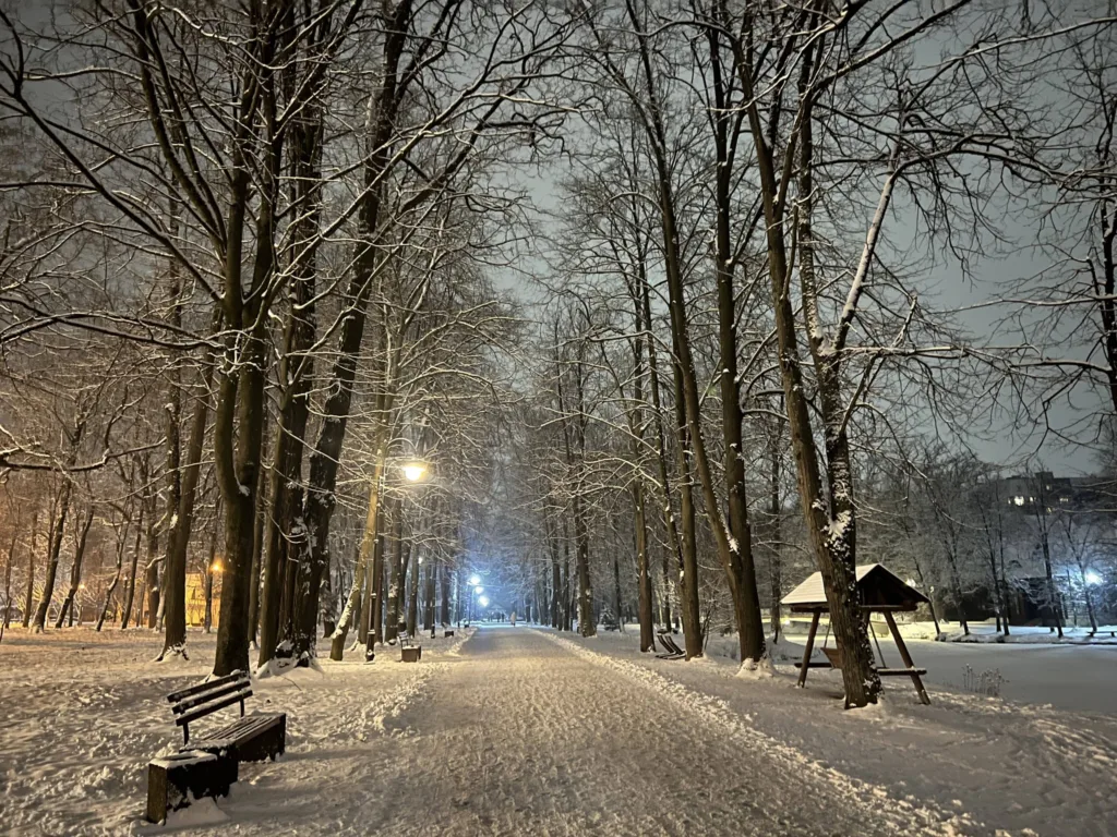 Нічний зимовий парк зі снігом і ліхтарями