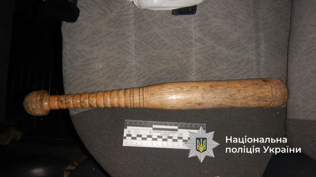 Дерев'яна бита на сидінні автомобіля