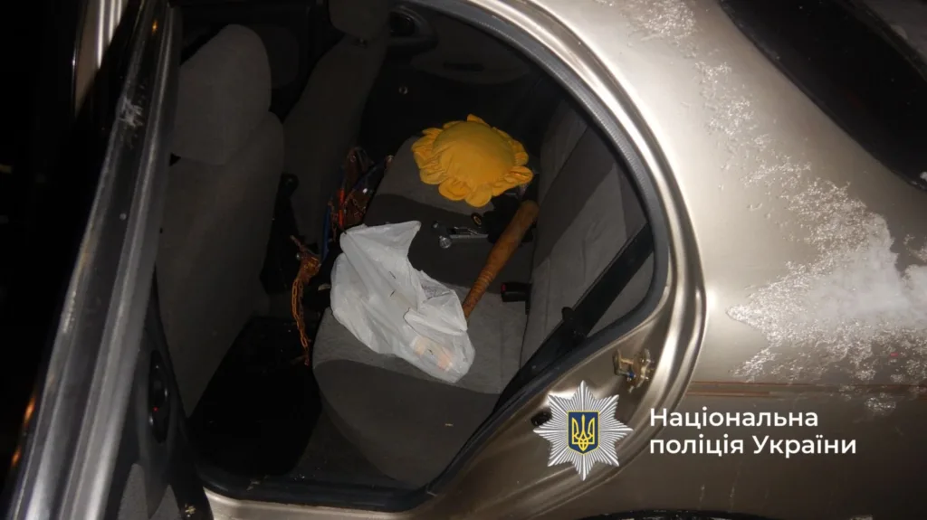 Інтер'єр автомобіля з речами на задньому сидінні