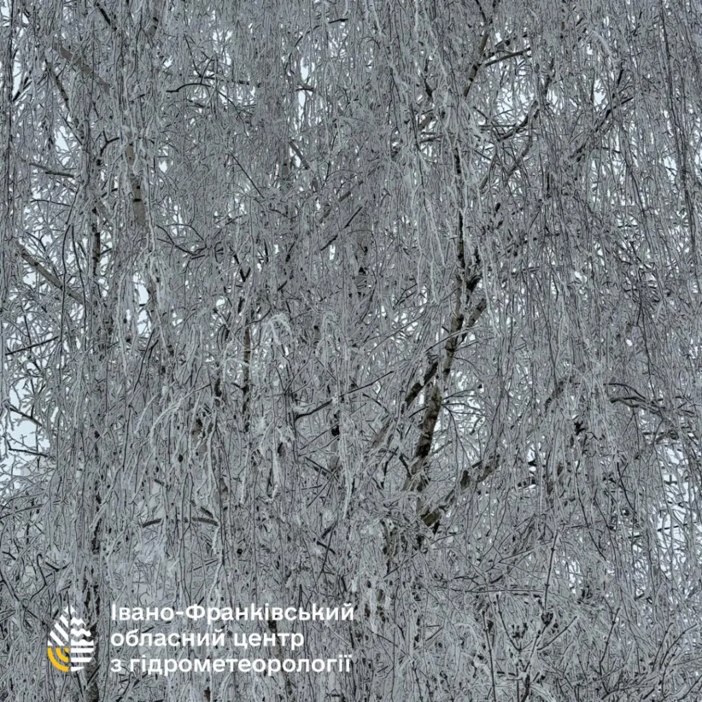 Дерева вкриті інеєм узимку