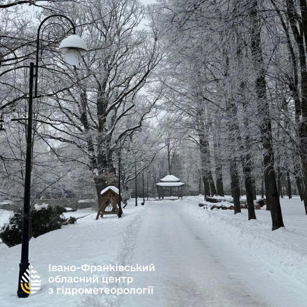 Зимовий парк в Івано-Франківську, засніжені дерева та доріжка