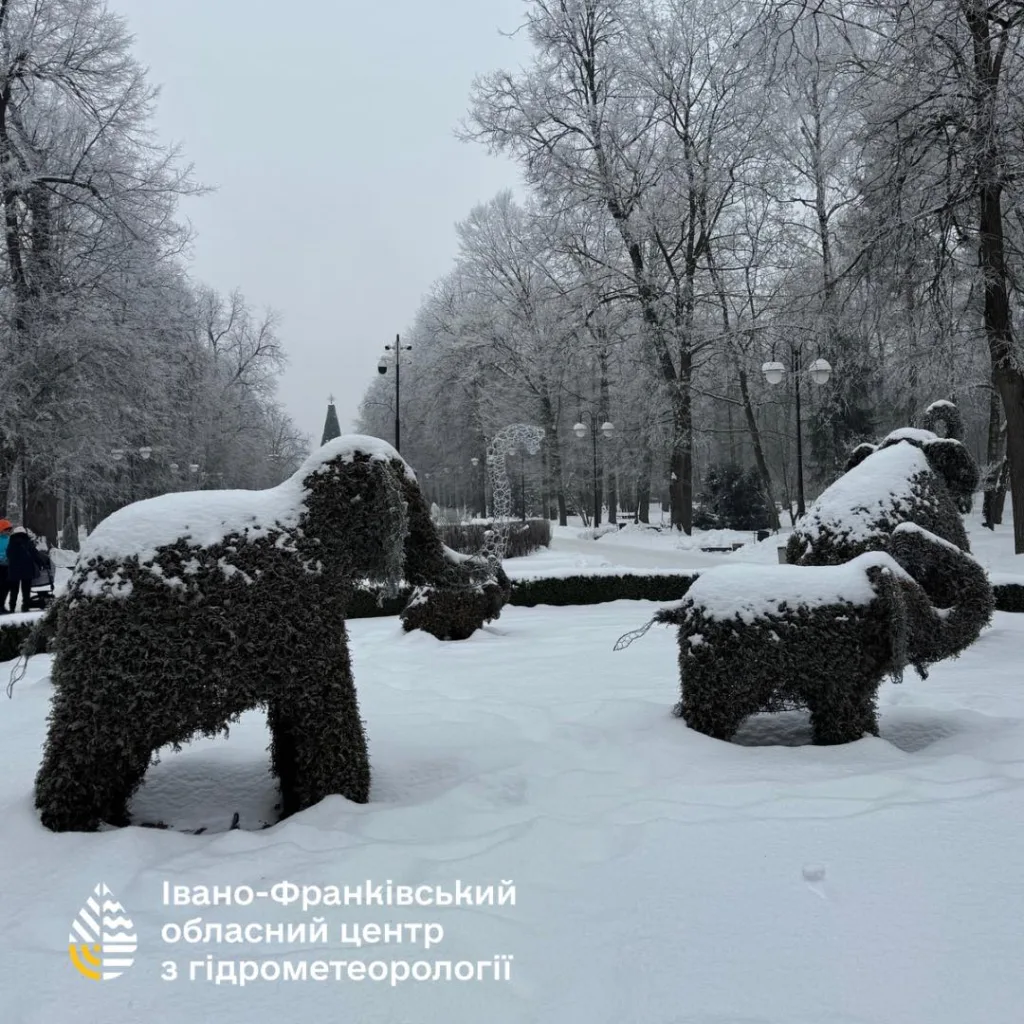 Зимовий парк з фігурами слонів у снігу