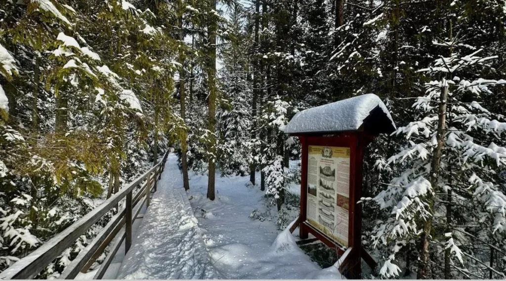 Сніжна лісова стежка з інформаційним щитом