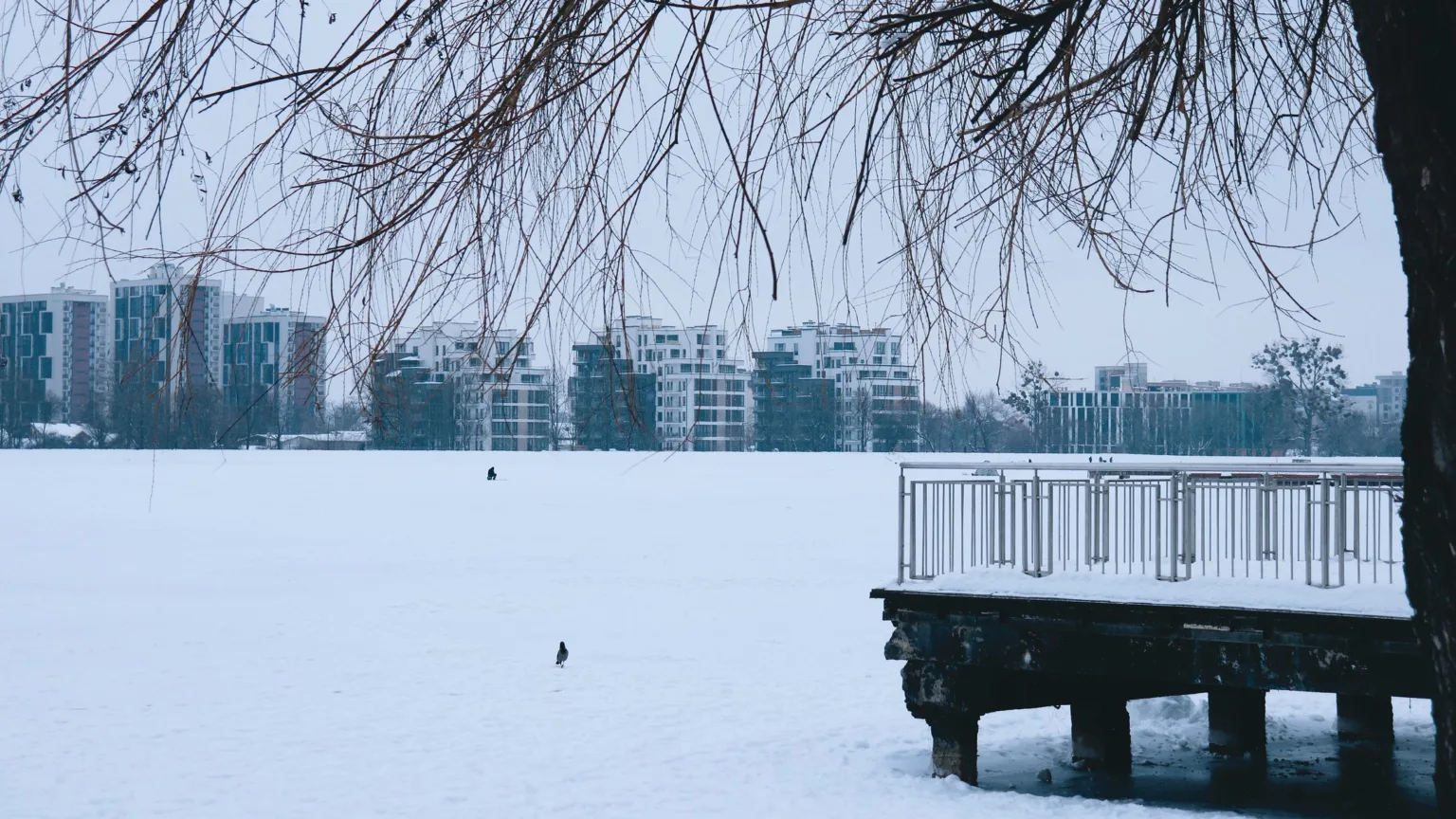 Засніжене місто біля озера взимку