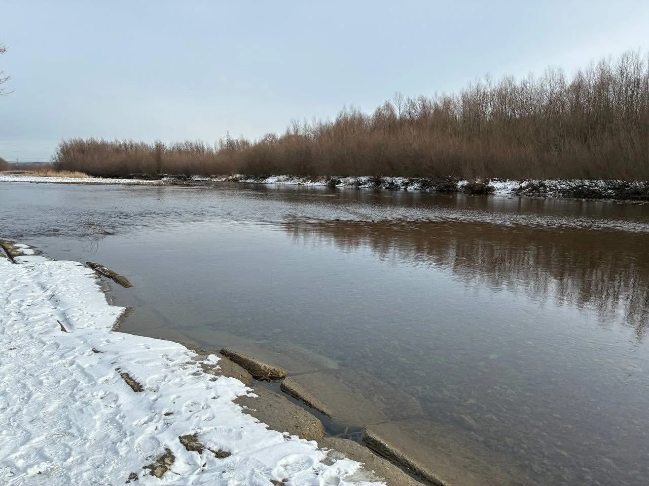 Зимовий берег річки з голими деревами
