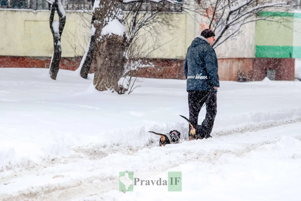 Чоловік гуляє з собакою взимку на снігу