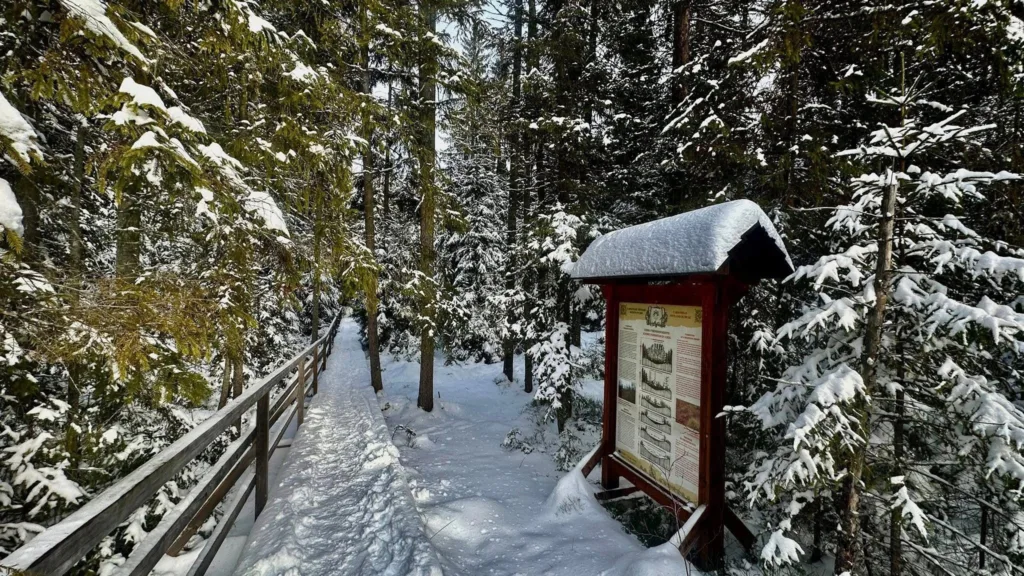 Засніжена лісова стежка з інформаційним щитом
